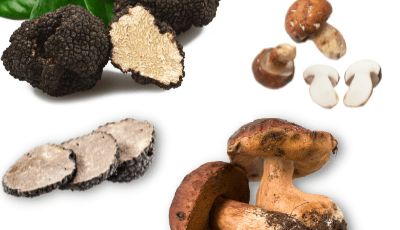 porcini-tartufi-pawu32jhzpbiactck3vo91pex10gb6po5ehyk66g3g